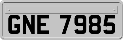 GNE7985