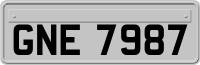 GNE7987