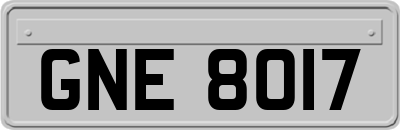 GNE8017