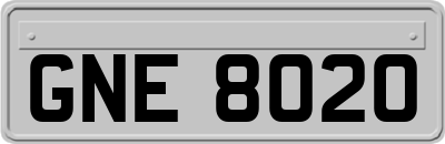 GNE8020