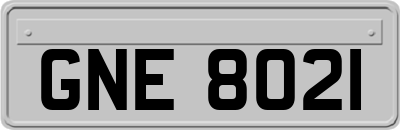 GNE8021