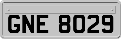 GNE8029