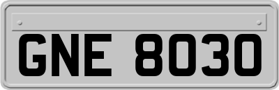 GNE8030