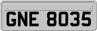 GNE8035