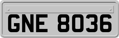 GNE8036