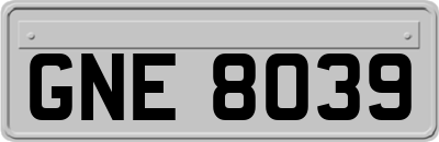 GNE8039