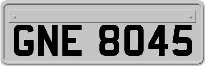 GNE8045