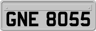 GNE8055