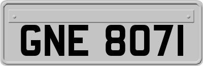 GNE8071