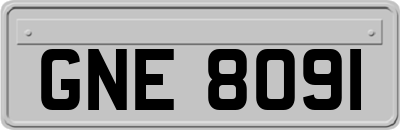GNE8091