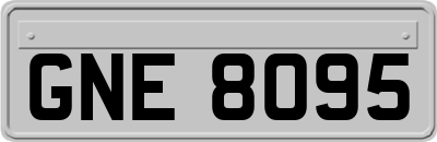 GNE8095