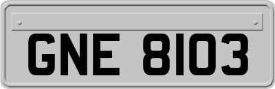 GNE8103