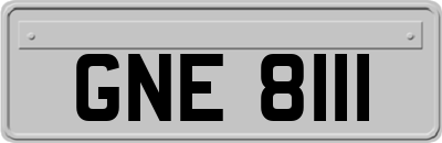 GNE8111
