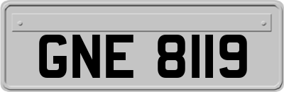 GNE8119