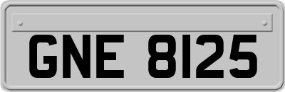 GNE8125