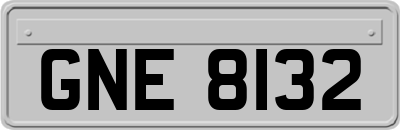 GNE8132