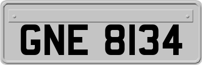 GNE8134
