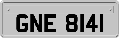GNE8141