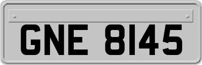 GNE8145