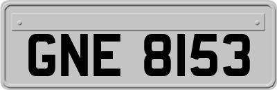 GNE8153