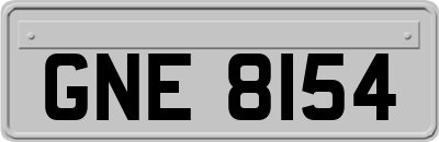 GNE8154