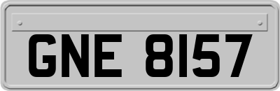 GNE8157