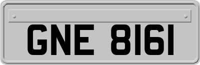 GNE8161
