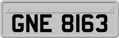 GNE8163