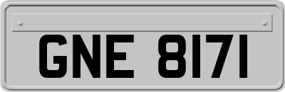GNE8171