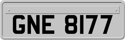 GNE8177