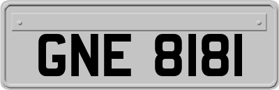 GNE8181