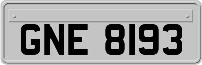 GNE8193