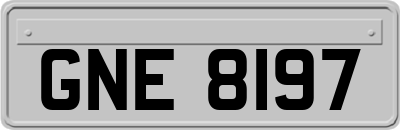 GNE8197