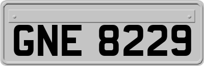 GNE8229