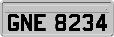 GNE8234