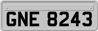 GNE8243