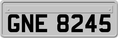 GNE8245
