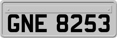 GNE8253