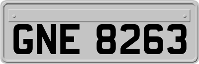 GNE8263