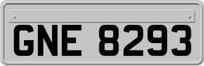 GNE8293