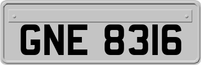 GNE8316