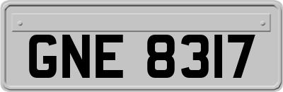 GNE8317