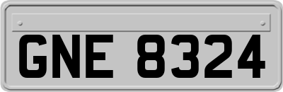 GNE8324