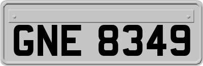 GNE8349