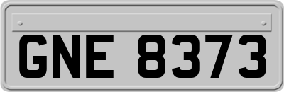 GNE8373