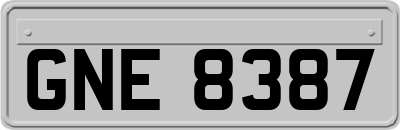 GNE8387