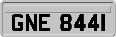GNE8441