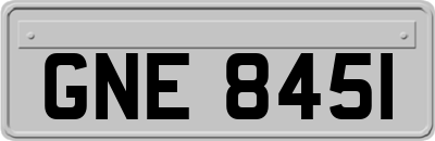 GNE8451