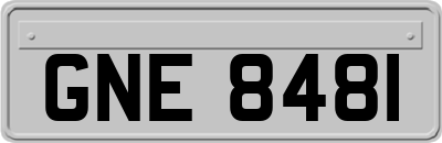 GNE8481