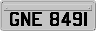 GNE8491